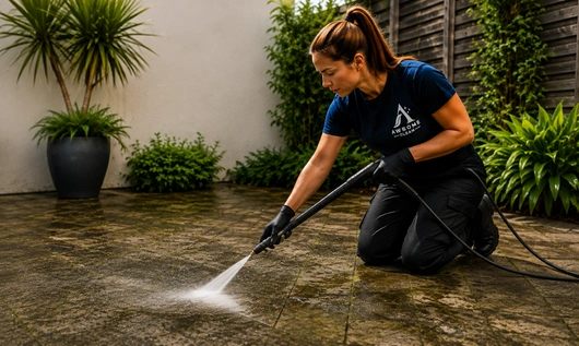 Patio-Cleaning-6